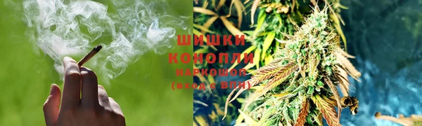 гашик Кинешма
