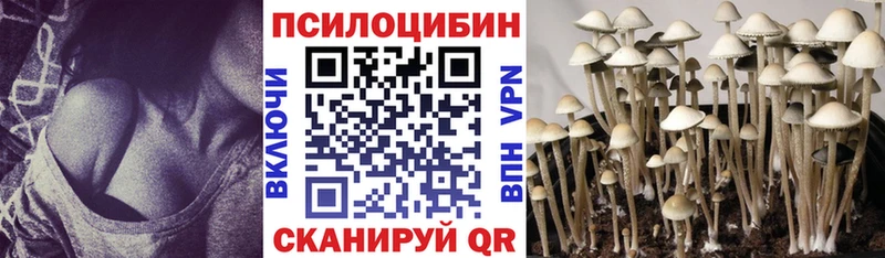 Купить где  Родники  Галлюциногенные грибы Psilocybine cubensis 